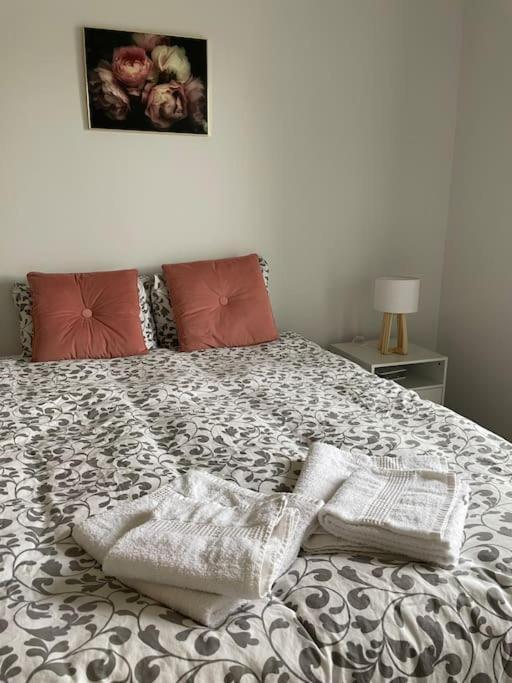 Apartamento Cosy T3 Proche Gare Et Polygone Béziers Exterior foto